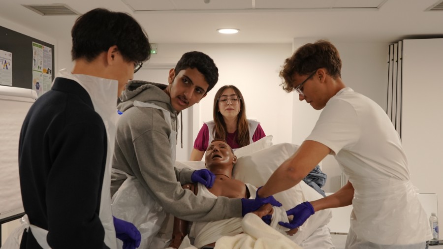 Study Mind: International Medicine Career Camp