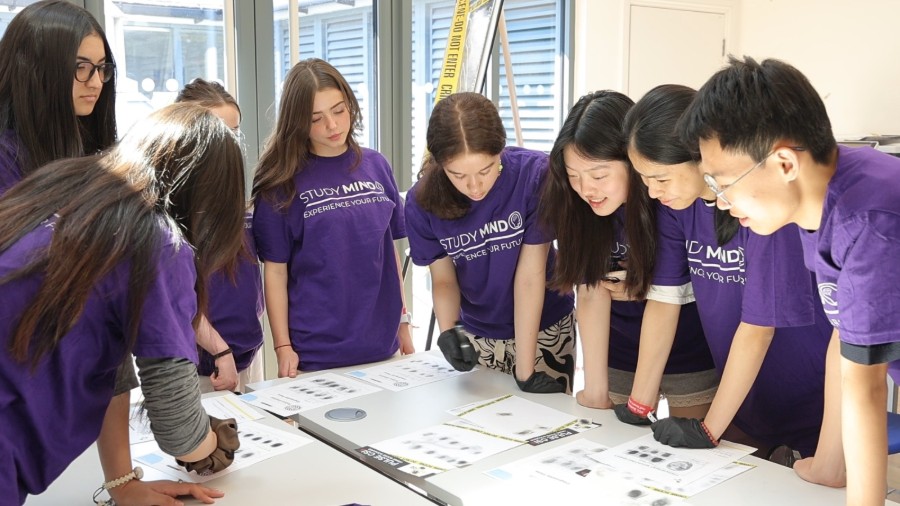 Study Mind: International Summer Career Camps