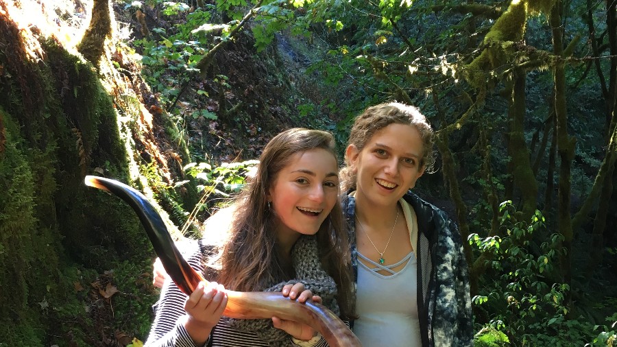 Tivnu: Building Justice Gap Year Program