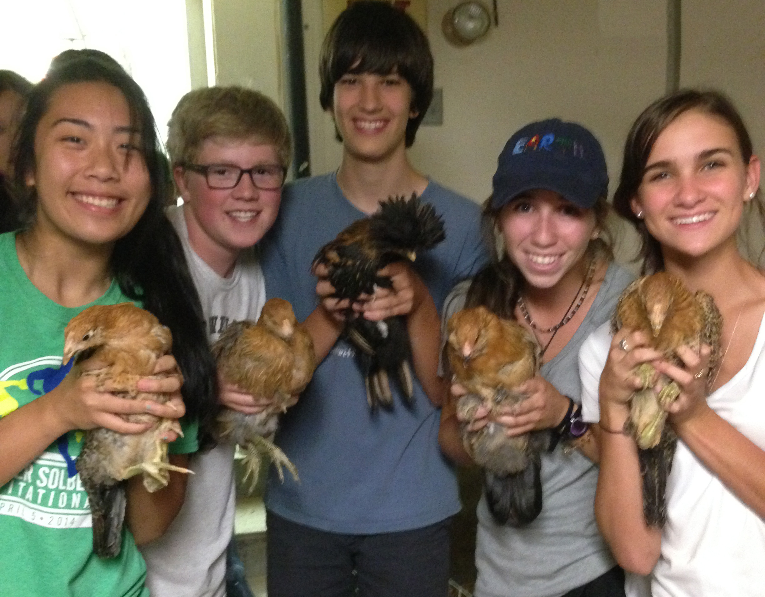 Summer Program Tufts University Adventures in Veterinary Medicine