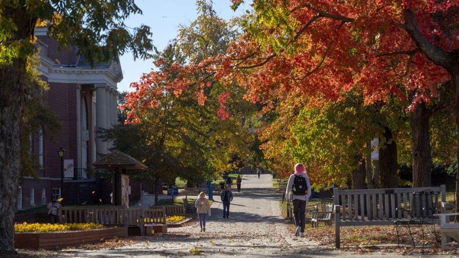 University of Mary Washington