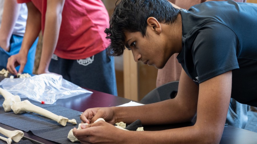 University of Maryland: Terp Young Scholars | College of Behavioral and Social Sciences