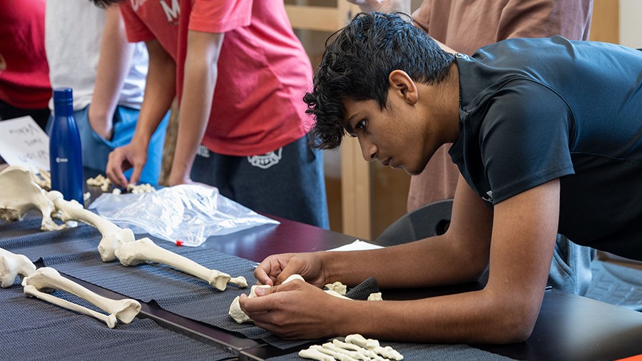 University of Maryland: Terp Young Scholars (TYS)