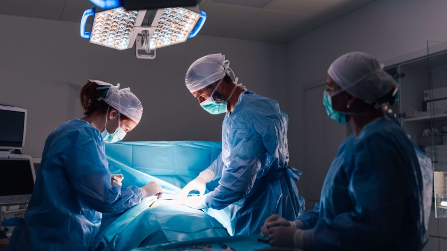 World Scholars Academy | Research Internships