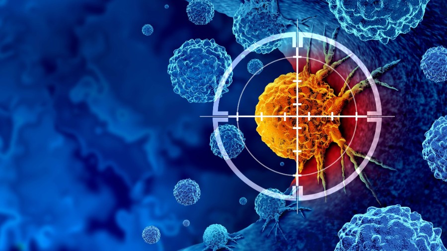 World Scholars Academy | Research Internships