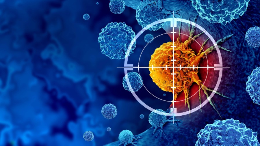 World Scholars Academy | Career Exploration Summer Course